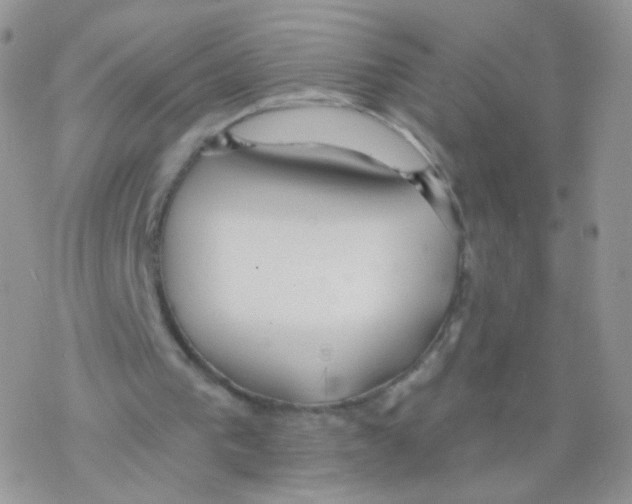 X0000077370193200611171957