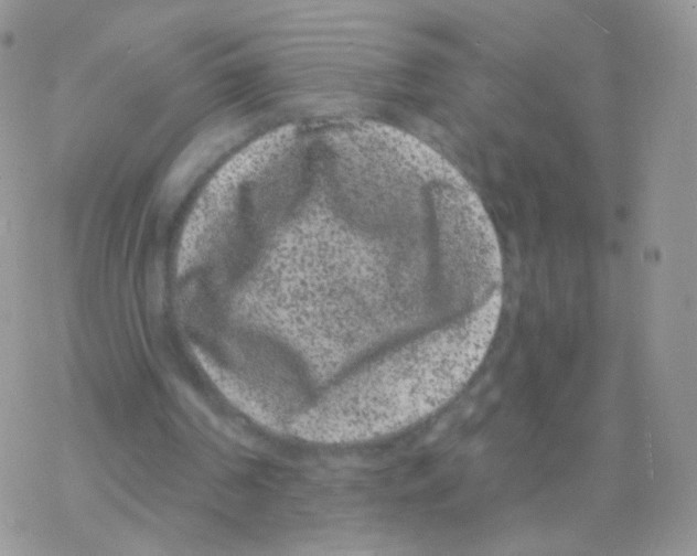 X0000077370194200611171957