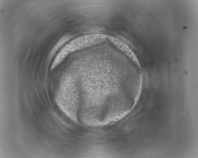 X0000077370195200611171957