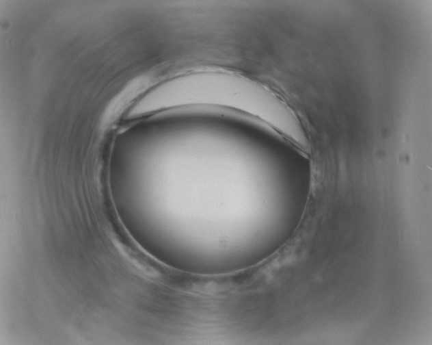 X0000077370197200611171957