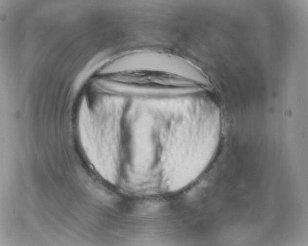 X0000077370198200611171957