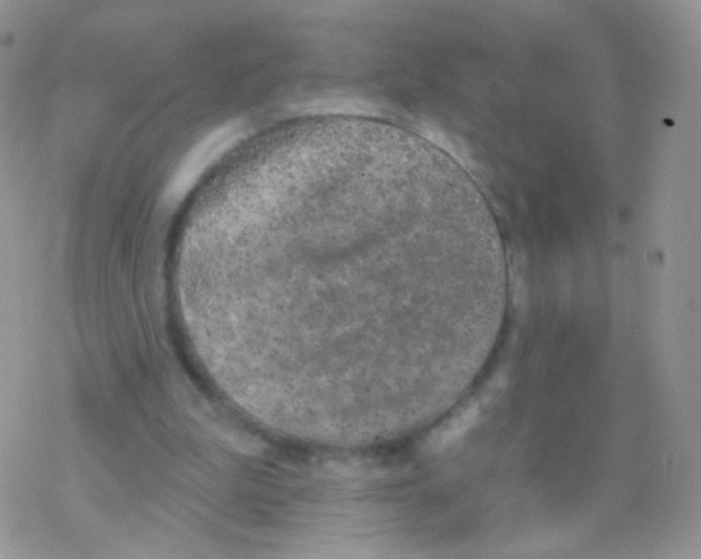 X0000077370199200611171957