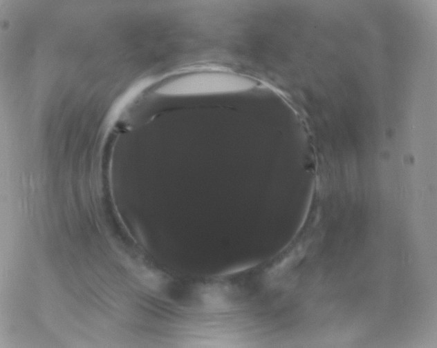 X0000077370200200611171957