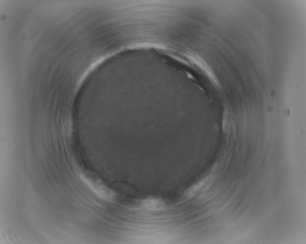 X0000077370204200611171957