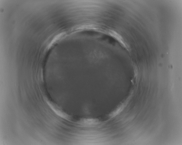 X0000077370205200611171957