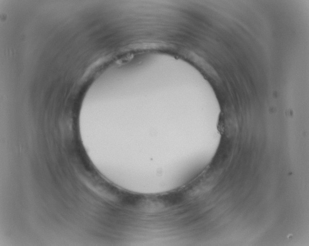 X0000077370207200611171957