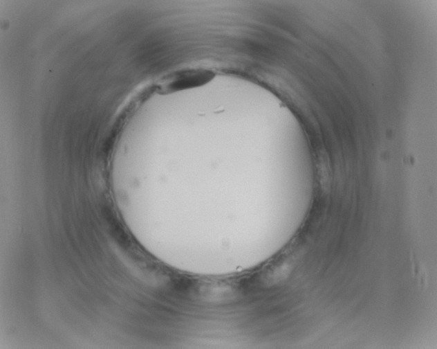 X0000077370208200611171957