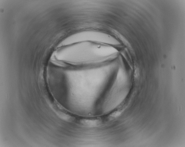 X0000077370209200611171957