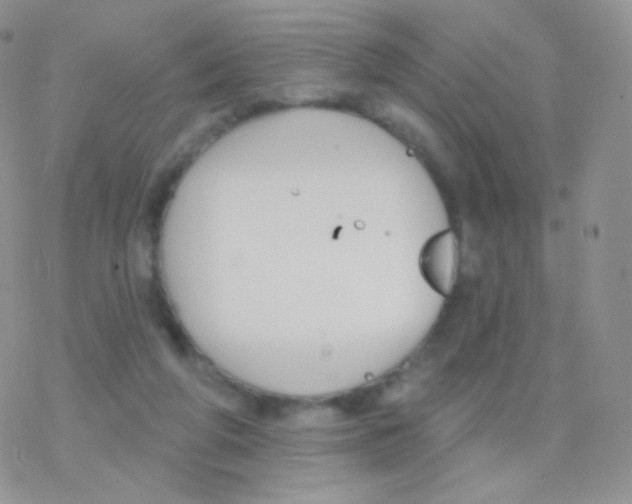 X0000077370210200611171957