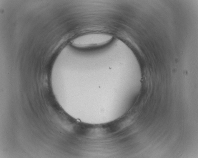 X0000077370212200611171957