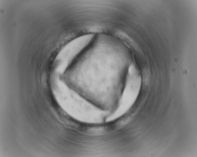 X0000077370213200611171957