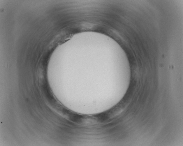 X0000077370215200611171957