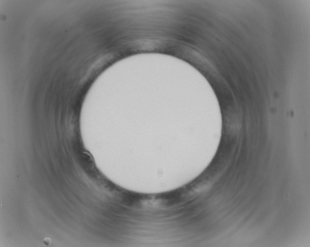 X0000077370216200611171957