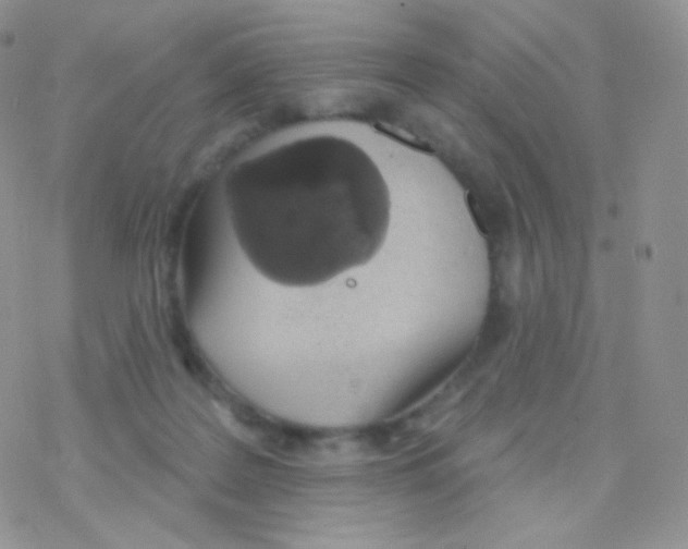 X0000077370219200611171957