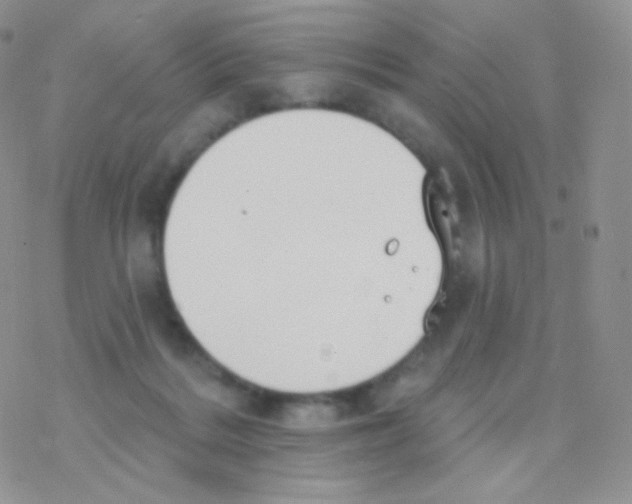 X0000077370220200611171957