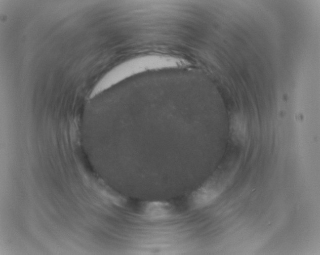 X0000077370222200611171957