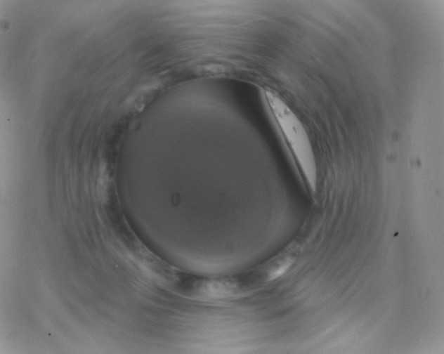 X0000077370223200611171957