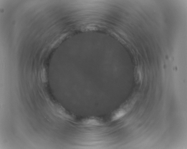 X0000077370224200611171957