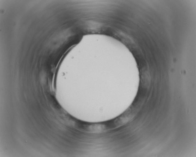 X0000077370225200611171957