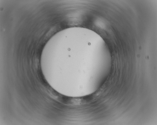 X0000077370227200611171957