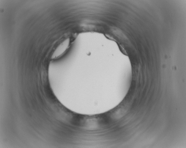 X0000077370228200611171957