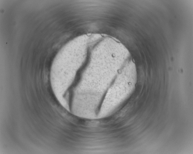 X0000077370230200611171957