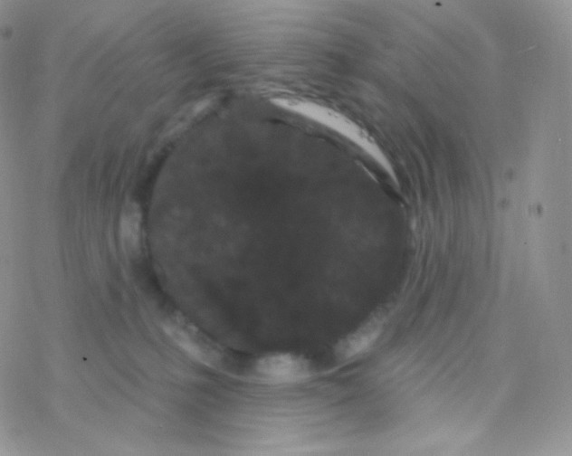 X0000077370231200611171957