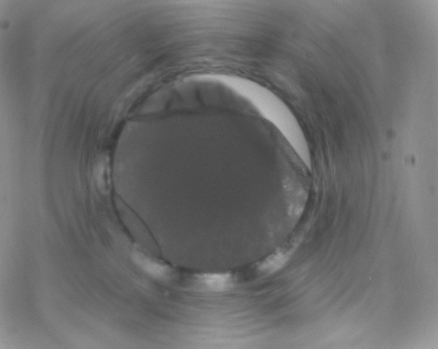 X0000077370233200611171957