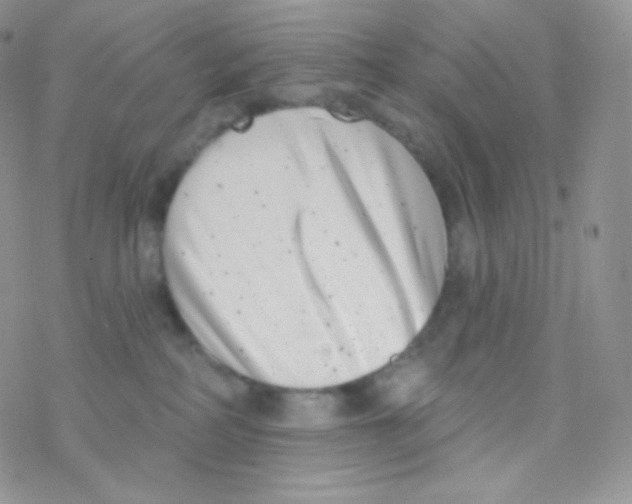 X0000077370234200611171957