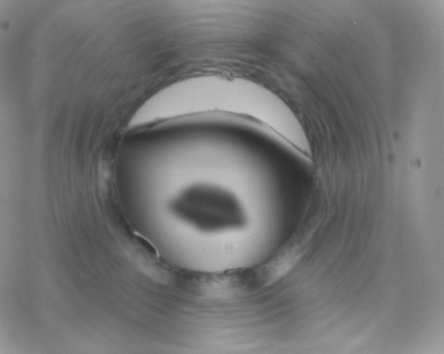 X0000077370235200611171957