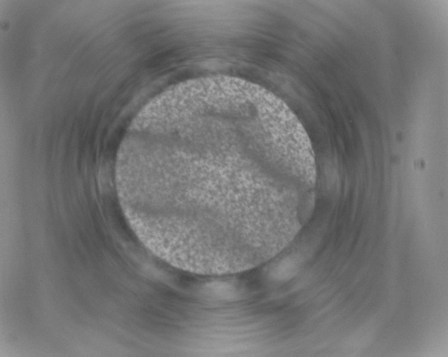 X0000077370236200611171957