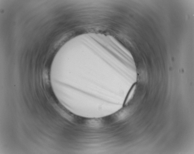 X0000077370238200611171957