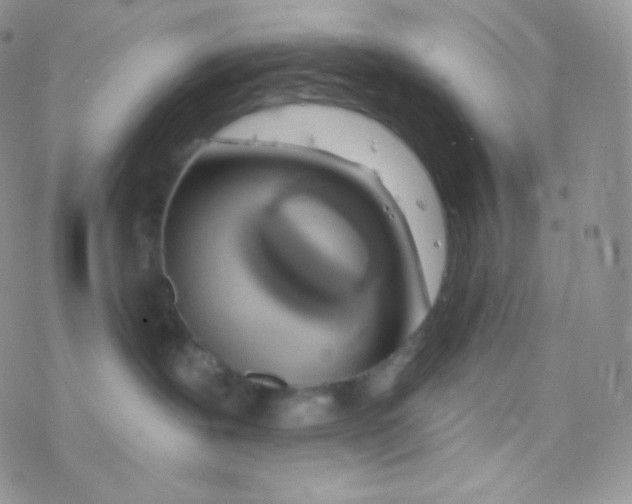 X0000077370239200611171957