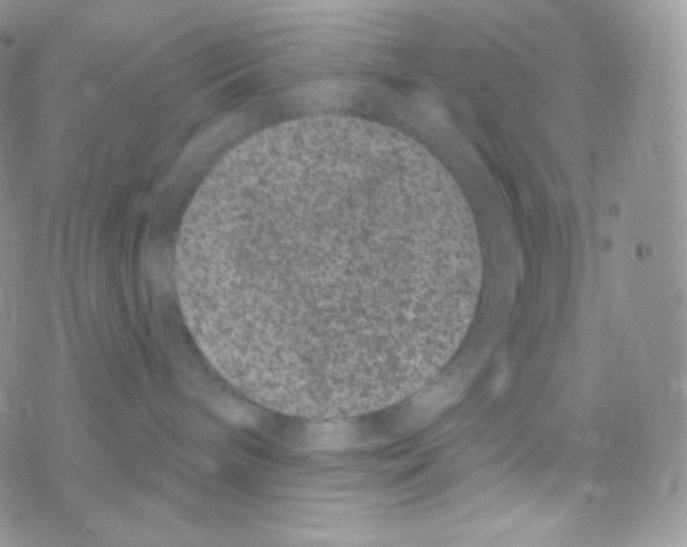 X0000077370240200611171957