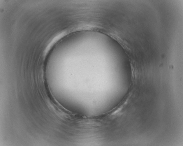 X0000077370244200611171956