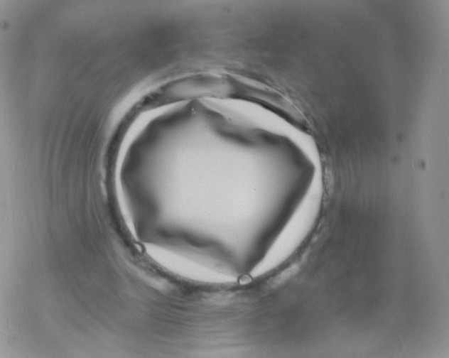 X0000077370246200611171956