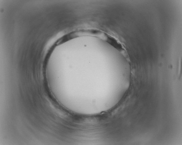 X0000077370248200611171956