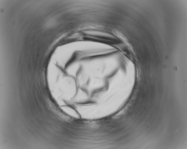 X0000077370249200611171956