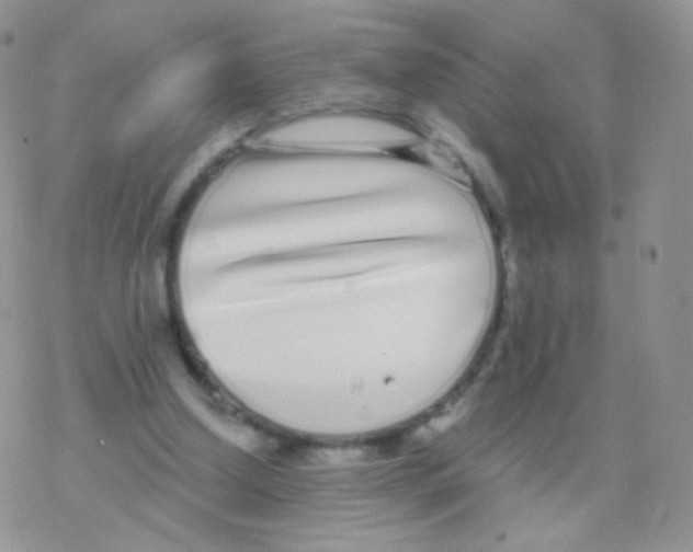 X0000077370250200611171956