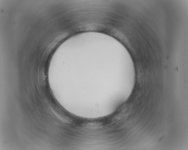 X0000077370251200611171956