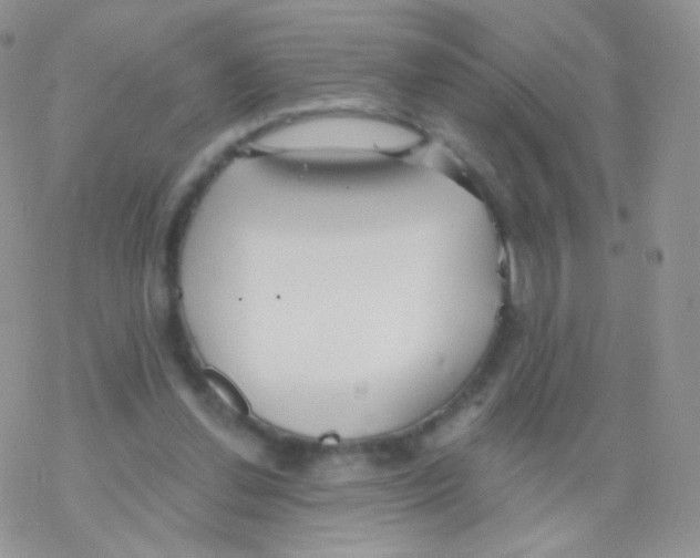 X0000077370252200611171956