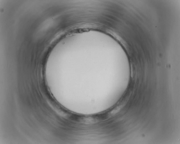 X0000077370253200611171956