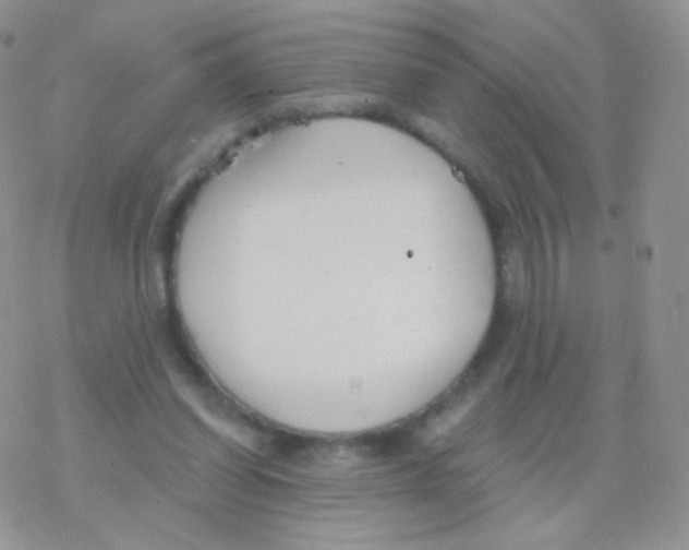 X0000077370254200611171956