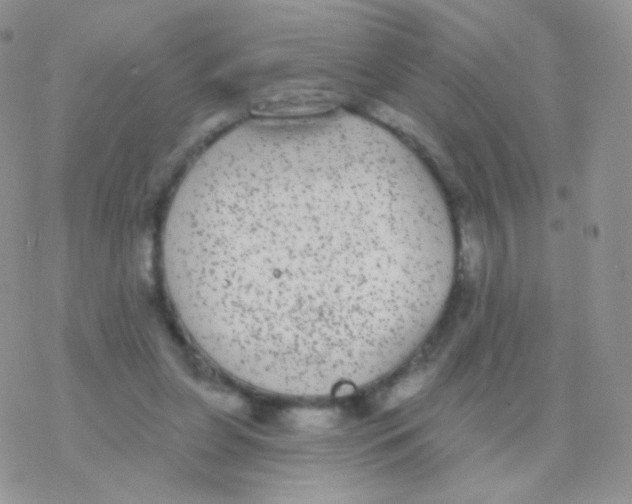 X0000077370255200611171956