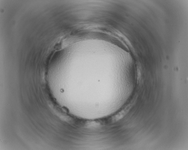 X0000077370257200611171956