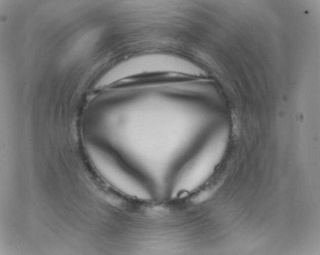 X0000077370258200611171956