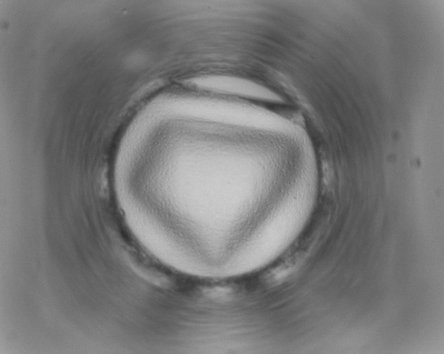 X0000077370259200611171956