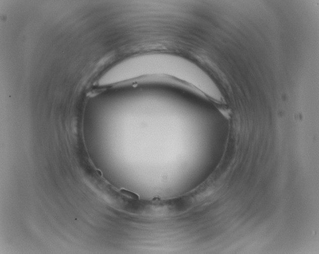 X0000077370260200611171956