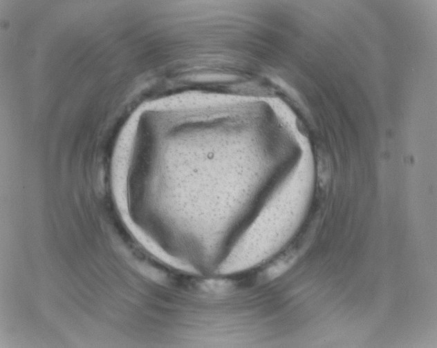 X0000077370261200611171956