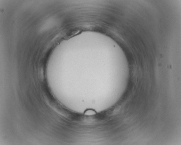 X0000077370262200611171956